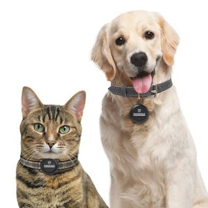 NFC Pet Tag